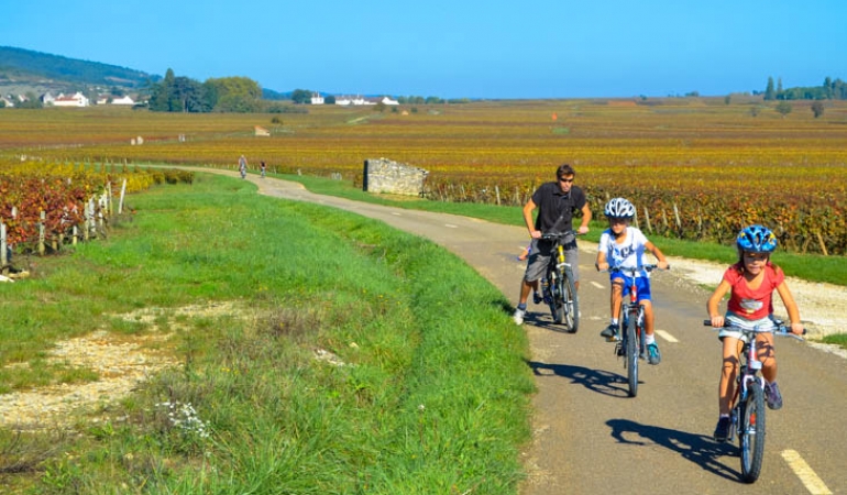 Entrust us with your luggage for your travels and hikes in Burgundy