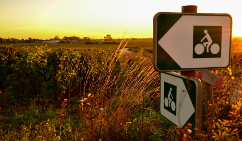Entrust us with your luggage for your travels and hikes in Burgundy