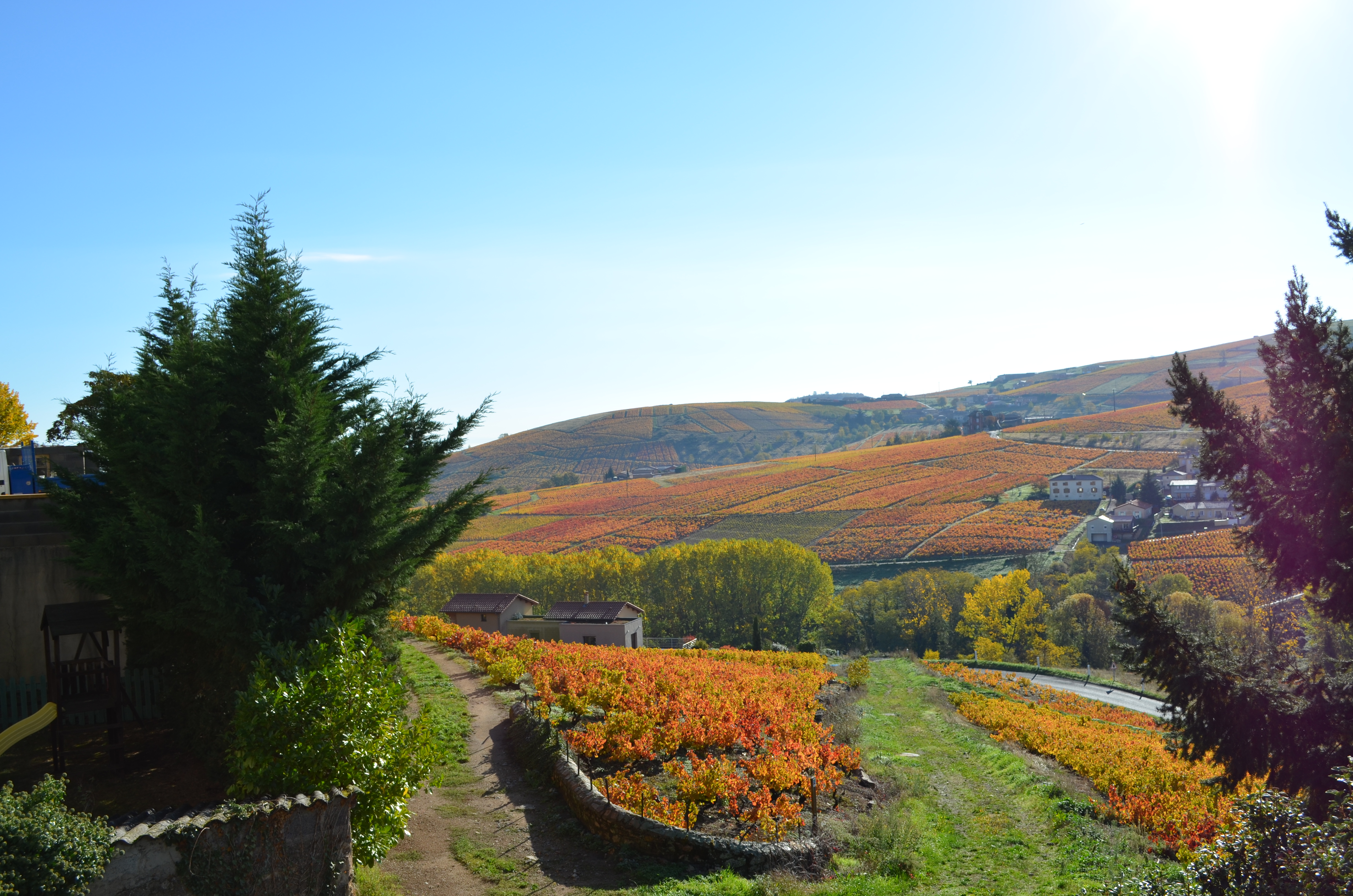 Des adresses qui valent le détour.