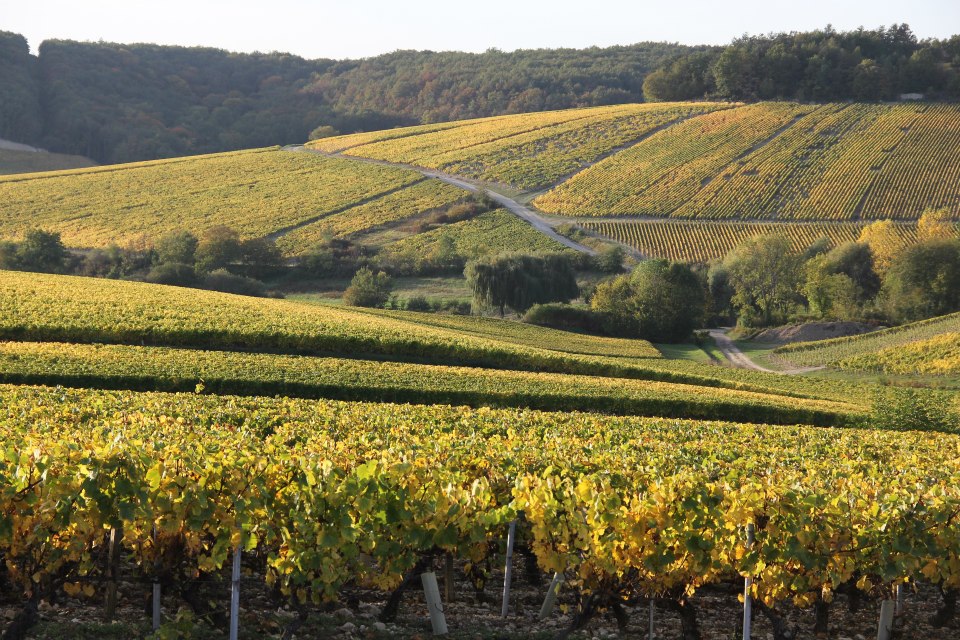 Des adresses qui valent le détour.